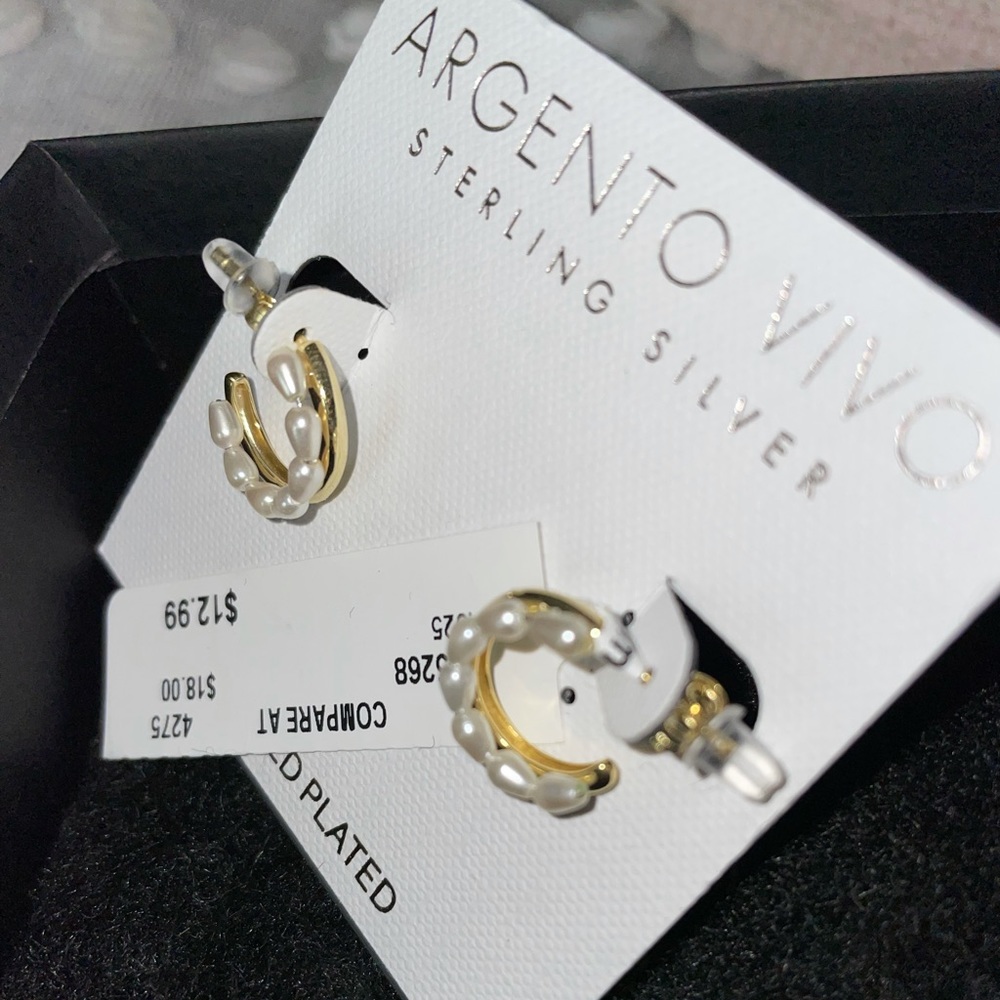 Argento Vivo Earrings
